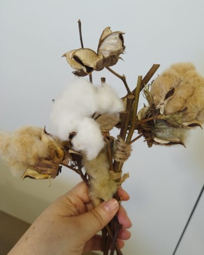 486545676_1174630384460872_8139371276587669832_n