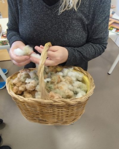 486719170_1174630461127531_2965380998575782959_n