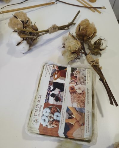 487087418_1174630281127549_5148074837035400735_n