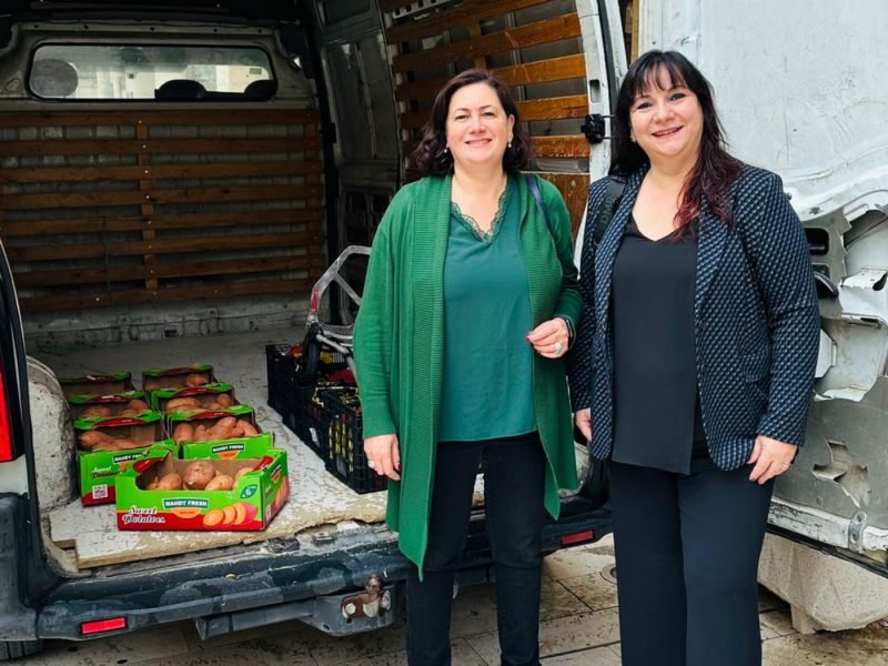 Entrega_moniatos_Castaween1