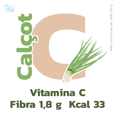 Verdures HSC_Mesa de trabajo 1-02