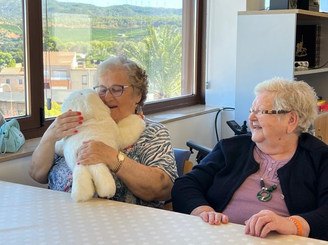 WhatsApp Image 2025-09-22 at 13.00.38 (1)