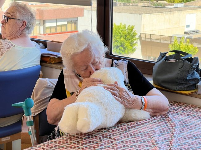 WhatsApp Image 2025-09-22 at 13.00.38 (13)