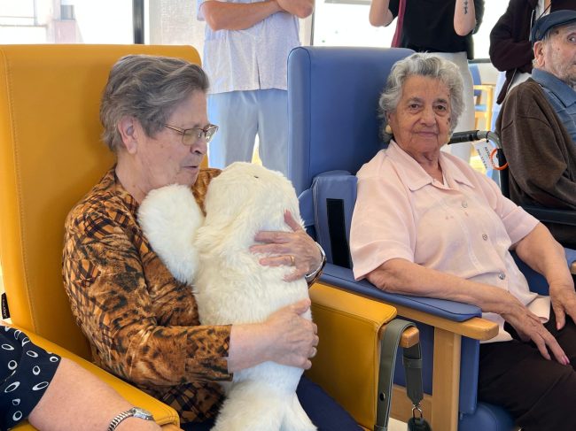 WhatsApp Image 2025-09-22 at 13.00.38 (19)