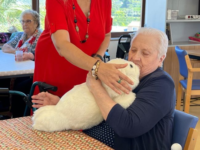 WhatsApp Image 2025-09-22 at 13.00.38 (7)