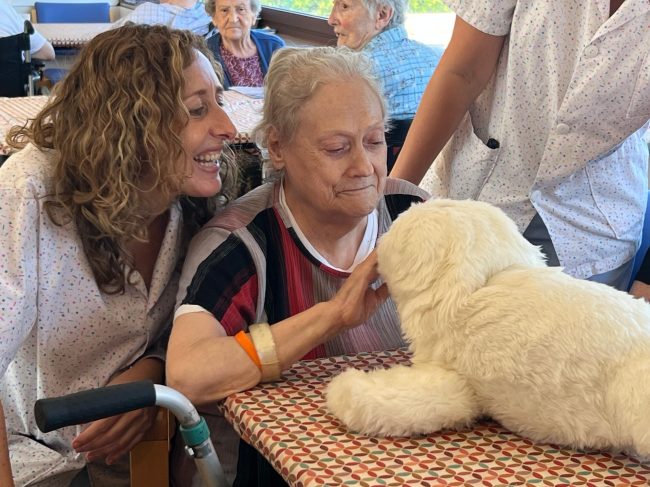 WhatsApp Image 2025-09-22 at 13.01.22 (13)