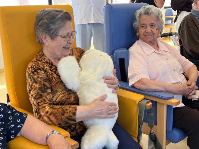 WhatsApp Image 2025-09-22 at 13.01.22 (3)