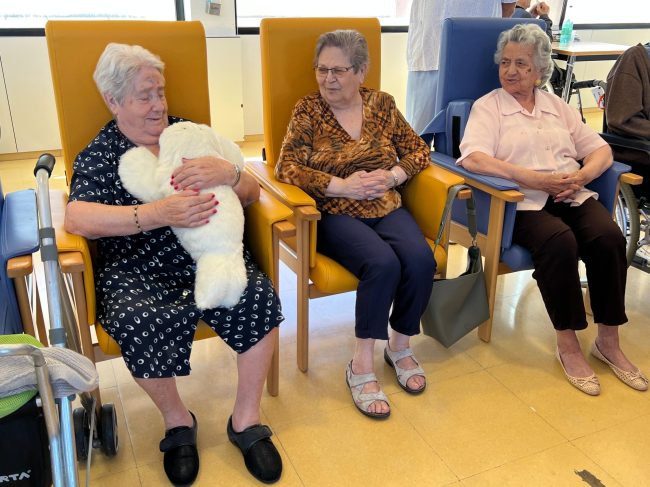 WhatsApp Image 2025-09-22 at 13.01.22 (4)