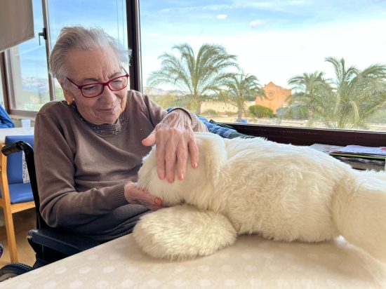 WhatsApp Image 2026-02-23 at 12.05.56 (3)