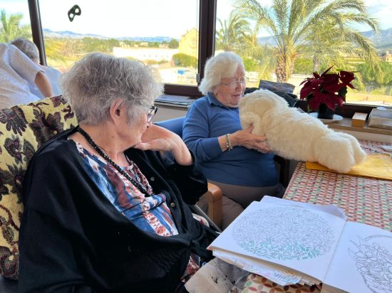 WhatsApp Image 2026-02-23 at 12.05.57 (1)