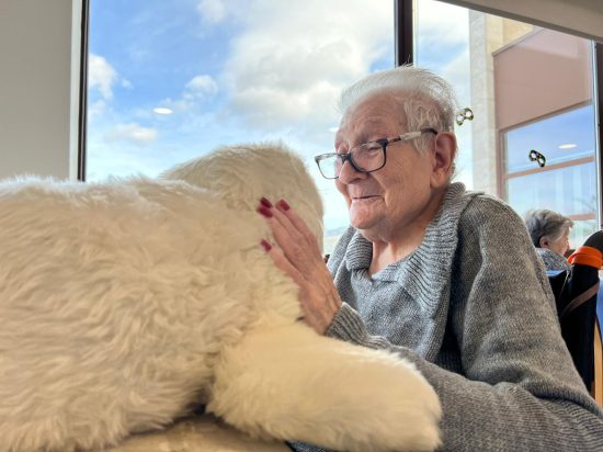 WhatsApp Image 2026-02-23 at 12.06.01 (1)