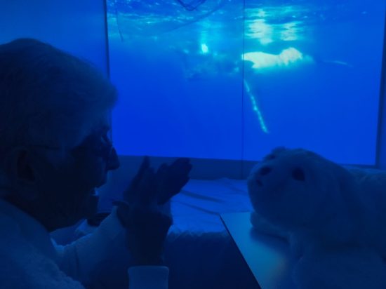 WhatsApp Image 2026-02-23 at 12.07.08