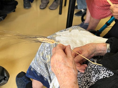 WhatsApp Image 2026-03-09 at 12.53.34 (4)